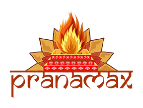 Pranamax